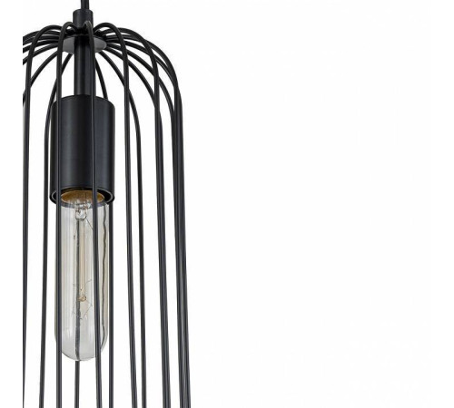 Подвесной светильник Escada Phoenix 10198/1S
