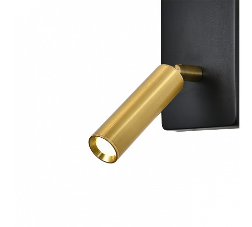 Бра с подсветкой Escada 598 598/1A Black/Brass