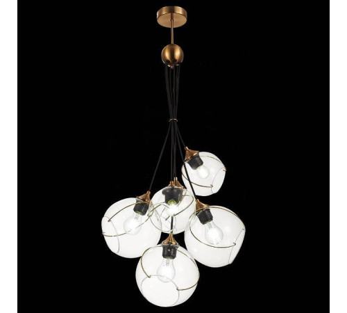 Подвесной светильник EVOLUCE Satturo SLE103103-06