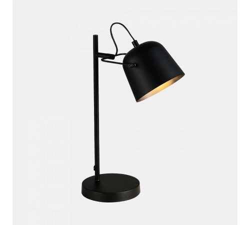 Настольная лампа офисная EVOLUCE Blank SLE1805-404-01