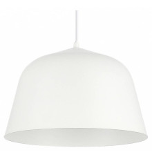 Подвесной светильник EVOLUCE Blank SLE1805-503-01