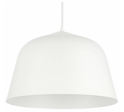 Подвесной светильник EVOLUCE Blank SLE1805-503-01