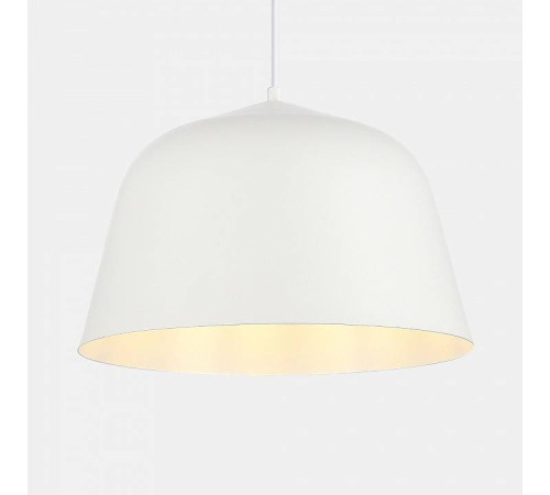 Подвесной светильник EVOLUCE Blank SLE1805-503-01