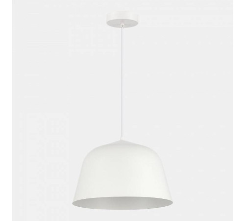 Подвесной светильник EVOLUCE Blank SLE1805-503-01