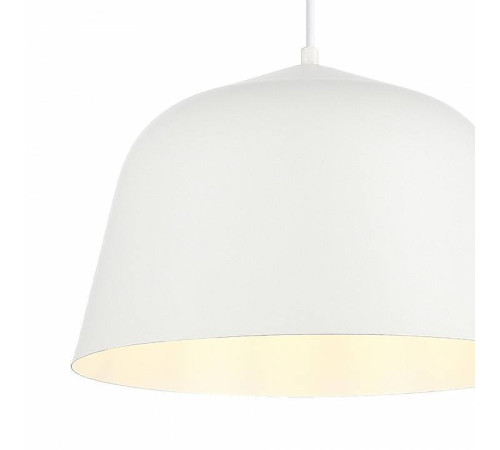 Подвесной светильник EVOLUCE Blank SLE1805-503-01