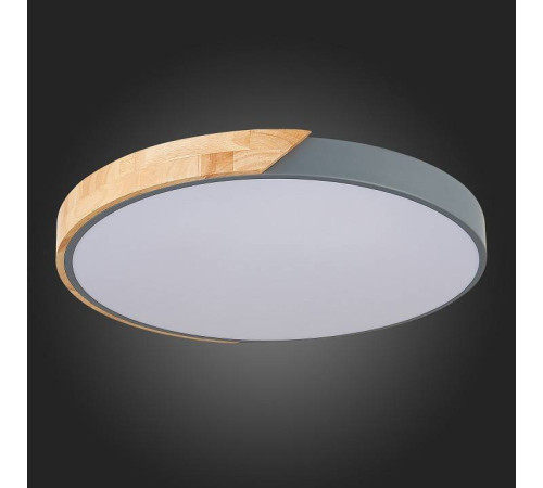 Накладной светильник EVOLUCE Festa SLE200972-01