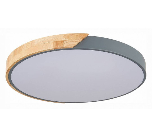 Накладной светильник EVOLUCE Festa SLE200972-01