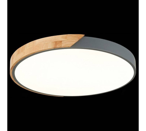 Накладной светильник EVOLUCE Festa SLE200972-01