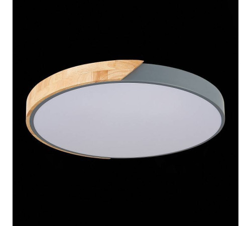 Накладной светильник EVOLUCE Festa SLE200972-01