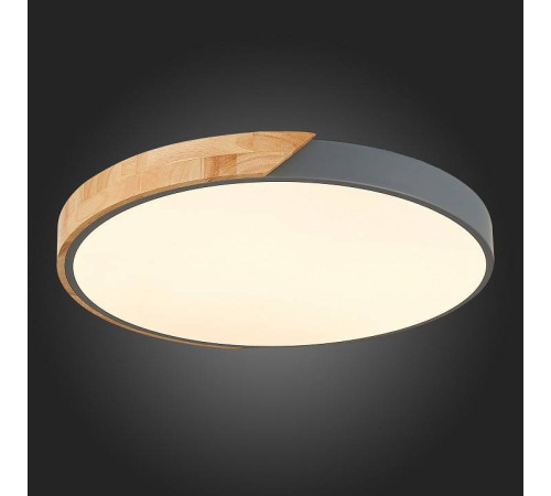 Накладной светильник EVOLUCE Festa SLE200972-01