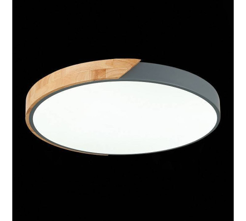 Накладной светильник EVOLUCE Festa SLE200972-01