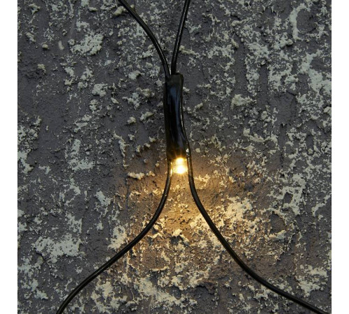 Сеть световая Feron CL41 48634