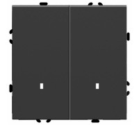 Выключатель двухклавишный с подсветкой без рамки Stekker RSW10-5102-05 49838