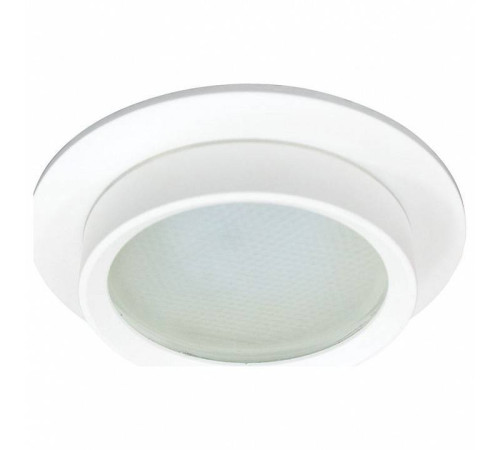 Встраиваемый светильник Feron DL504 51101