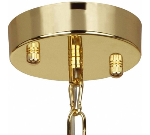 Подвесной светильник Favourite Chick 1930-2P