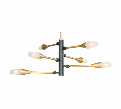 Подвесная люстра Favourite Incognita 2565-6P