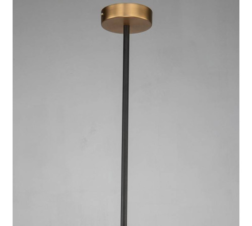 Подвесной светильник Favourite Roshe 2624-1P