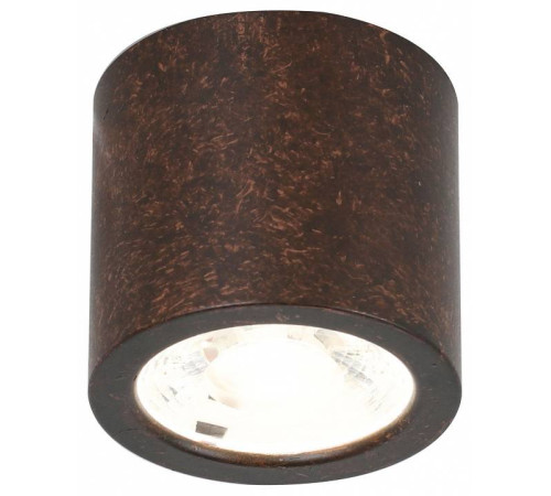 Накладной светильник Favourite Deorsum 2809-1C