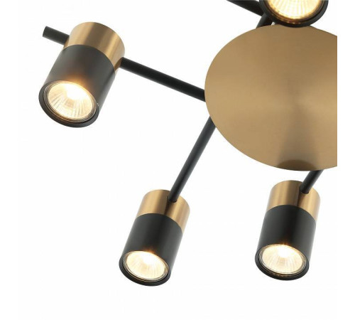 Потолочная люстра Favourite Topper 2825-8P