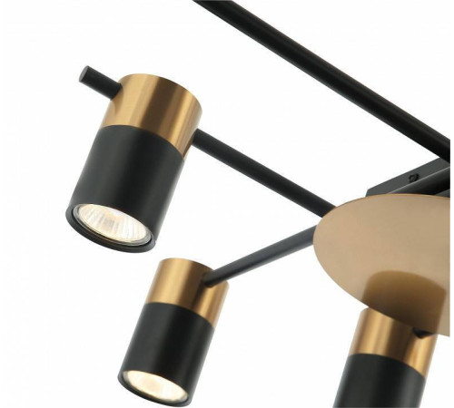 Потолочная люстра Favourite Topper 2825-8P