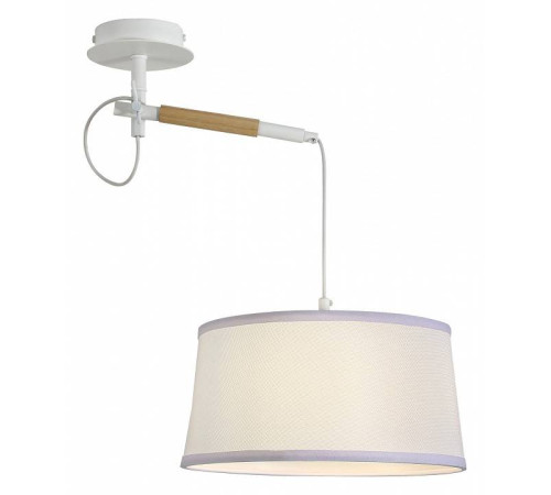 Светильник на штанге F-promo Eureka 3005-1P