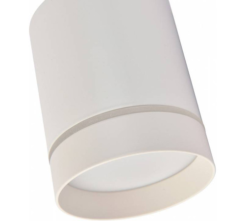 Накладной светильник Favourite Darar 3064-1C