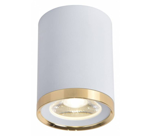 Накладной светильник Favourite Prakash 3085-1C