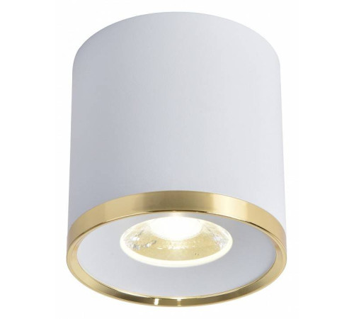 Накладной светильник Favourite Prakash 3085-2C