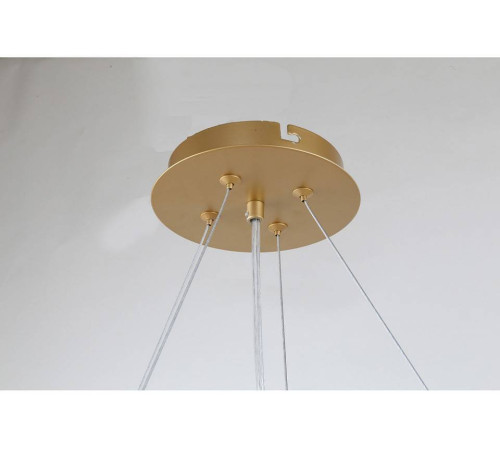 Подвесная люстра Favourite Ginkoa 4080-8P