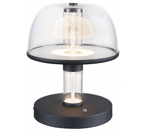 Настольная лампа декоративная Favourite Flaska 4312-1T
