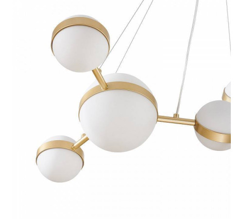 Подвесная люстра Favourite Asterismo 4448-6P