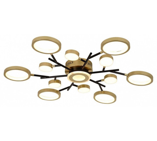 Потолочная люстра F-promo Hybrid 4686-13C