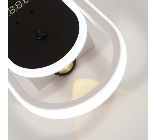 Накладной светильник F-promo Vigilate 4689-1W