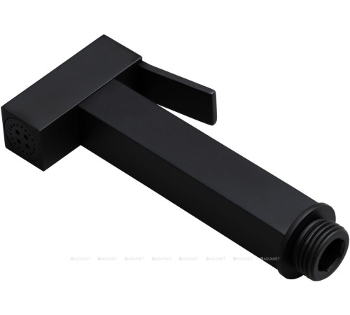 Гигиенический душ Allen Brau INFINITY латунь черный матовый 5.21A05-31