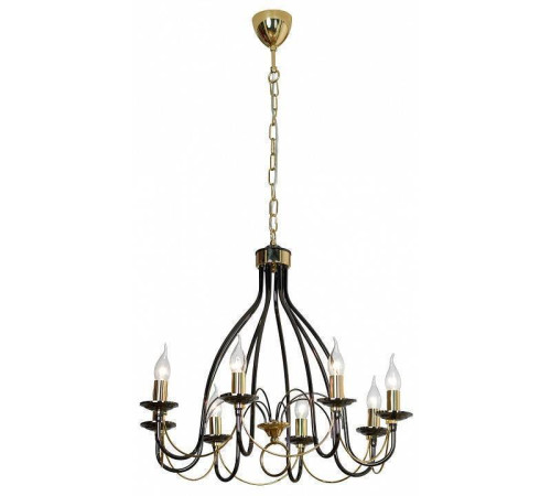 Подвесная люстра Lussole Todi GRLSA-4613-08