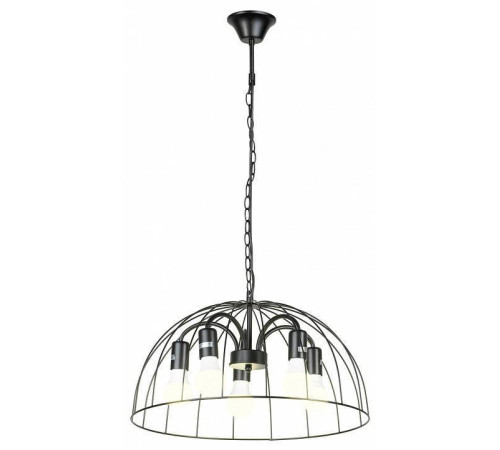 Подвесная люстра Lussole Lattice 1 GRLSP-8216