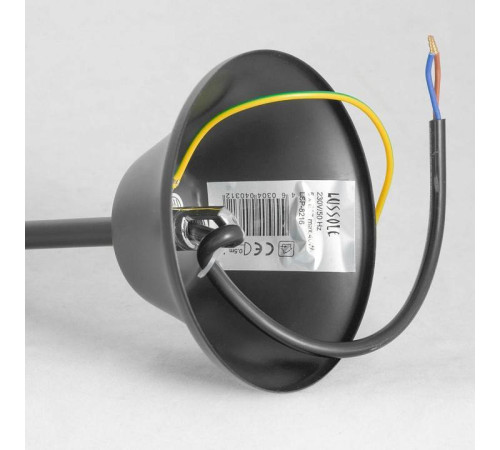 Подвесная люстра Lussole Lattice 1 GRLSP-8216