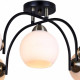 Потолочная люстра ILLUMICO IL0250-5CSQ-79 BK AB