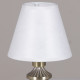 Настольная лампа декоративная ILLUMICO IL0906-1TSQ-26 AB ELITE