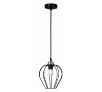 Подвесной светильник ILLUMICO  IL2001-1PA-05 BK ROSE GD