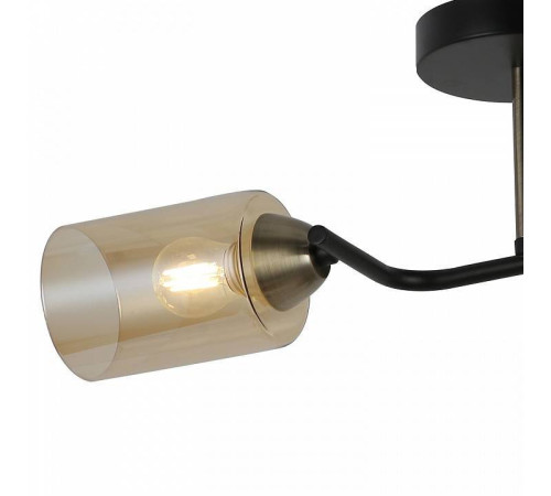 Светильник на штанге ILLUMICO Bice IL8148-2COU-79 BK BR Bice