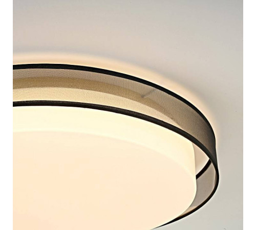 Накладной светильник Imperiumloft Vedum01 141123-26