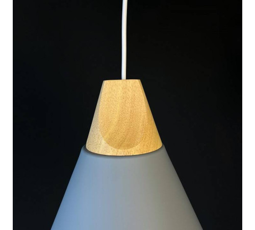 Подвесной светильник Imperiumloft Xd-B XD1