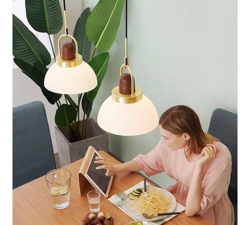 Подвесной светильник Imperiumloft Arc Globe 101295-26