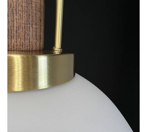 Подвесной светильник Imperiumloft Arc Globe 101295-26