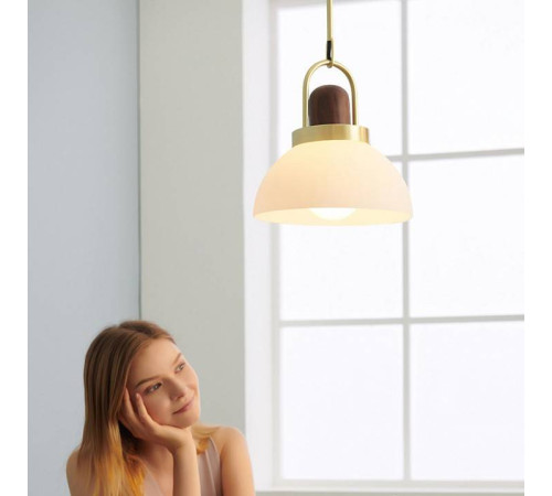 Подвесной светильник Imperiumloft Arc Globe 101295-26