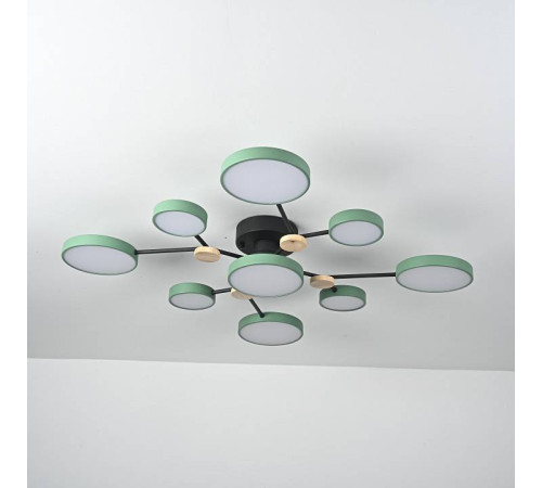 Потолочная люстра Imperiumloft GAMMA gamma01