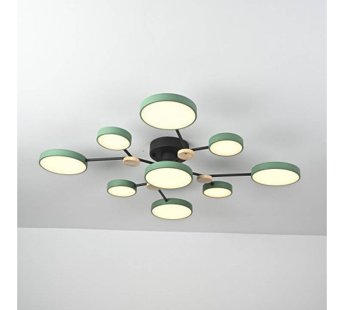 Потолочная люстра Imperiumloft GAMMA gamma01