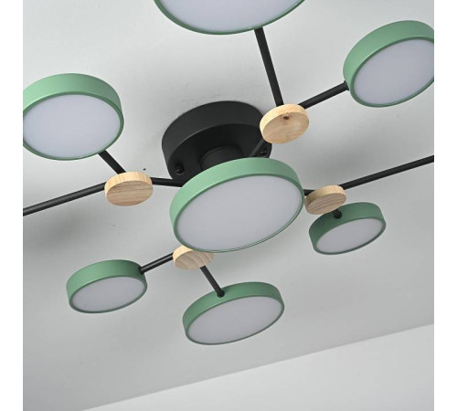 Потолочная люстра Imperiumloft GAMMA gamma01