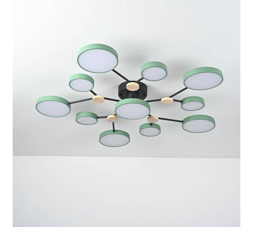 Потолочная люстра Imperiumloft GAMMA gamma01